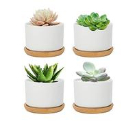 FORAGIFT 7.5CM Succulent Plant Pots, Simple Design Round Small Flower Pot, White Ceramic Cactus Pots with Bamboo Tray and Drainage Hole, Great for Home Office Decor, Set of 4 (Plants Not Included)