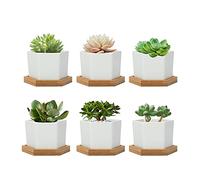 FORAGIFT 7CM Succulent Plant Pots, Simple Design Hexagon Small Flower Pot, White Ceramic Cactus Pots with Bamboo Tray and Drainage Hole, Great for Home Office Decor, Set of 6 (Plants Not Included)