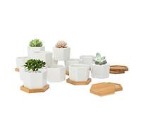 FORAGIFT 7CM Succulent Plant Pots, Simple Design Hexagon Small Flower Pot, White Ceramic Cactus Pots with Bamboo Tray and Drainage Hole, Great for Home Office Decor, Set of 12 (Plants Not Included)