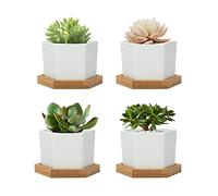 FORAGIFT 7CM Succulent Plant Pots, Simple Design Hexagon Small Flower Pot, White Ceramic Cactus Pots with Bamboo Tray and Drainage Hole, Great for Home Office Decor, Set of 4 (Plants Not Included)