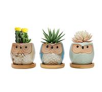 FORAGIFT Owl Succulent Pots, 6CM Cute Owl Cactus Pots Animal Small Plant Pot with Drain Hole and Bamboo Tray, and Great for Home Office Decor, Set of 3 (Plants Not Included)