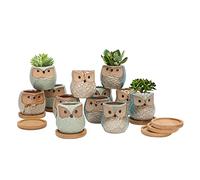 FORAGIFT Owl Succulent Pots, 6CM Cute Owl Cactus Pots Animal Small Plant Pot with Drain Hole and Bamboo Tray, and Great for Home Office Decor, Set of 12 (Plants Not Included)
