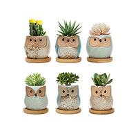 FORAGIFT Owl Succulent Pots, 6CM Cute Owl Cactus Pots Animal Small Plant Pot with Drain Hole and Bamboo Tray, and Great for Home Office Decor, Set of 6 (Plants Not Included)