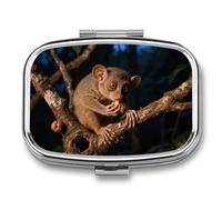 Foraging Aye - Aye Pill Box 2 Compartment Square Metal Pill Organizer Portable Mini Travel Medicine Case with Mirror Cute Medicine Container Holder for Pocket Purse