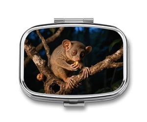 Foraging Aye - Aye Pill Box 2 Compartment Square Metal Pill Organizer Portable Mini Travel Medicine Case with Mirror Cute Medicine Container Holder for Pocket Purse