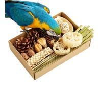 Foraging Bird Box Cage Box for Food Research and