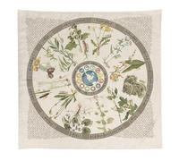 Foraging Plant Bandana | 12 Common Edible, Medicinal, and Useful North American Plants, Trees, and Fungus Found in Nature | 100% Cotton Bandana | MADE IN USA!