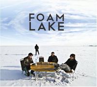 Force and Matter By Foam Lake (2013-05-13)