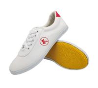 ForceRoute Tai Chi Kung Fu Shoes,Shaolin Shoes,Trainer Wing Chun Shoes,Taekwondo Karate Training Shoes,canvas,Unisex,Men Women,Non-Slip,Light,Breathable,for Qi Gong,Ground Indoor And Outdoor