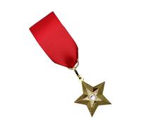 Forces Star with Red Ribbon Strong Metal | Souvenir Badge Brooch for Collectors and Occasions, Strong Metal for History Enthusiasts and Gifts
