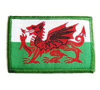 Forces WELSH DRAGON PATCH Military Separate hook and loop fastened back UBAC Red and Green flag badge