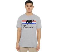 Ford Bronco Bronco Stripes Unisex T Shirt, Athletic Heather, XXXX-Large