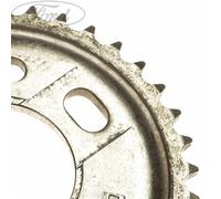 Ford Genuine Ranger Transit Mk7 Mk8 2.2 2.4 TDCi Camshaft Sprocket 1576366