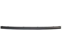 PRASCO FD1071255 Bumper moulding
