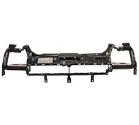 Ford Transit Connect 09-13 Front Panel Complete (4933)