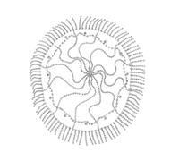 Forehead Rhinestones Hair Chain Headband Female Wedding Bridal Shower Headpiece Shimmering Headchain Fringed Hair Jewelry Sparkling Tassels