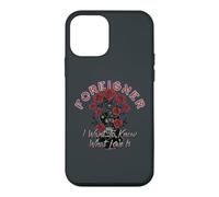 Foreigner I Want to Know What Love Is Rose Case for iPhone 12 mini