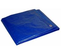 Foremost Tarp Multi Purpose Poly Tarp, Polyethylene, Blue, 20x30 Feet