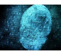 Forensics and Legal Anthropology