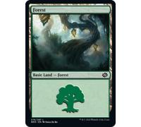 Forest (#276) (foil) | The Brothers' War