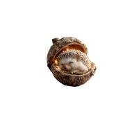 Forest Animal Christmas Hanging Decorations, Acorn & Pine Cone Ornaments Set for Xmas Tree, Woodland Creature Figurines for Home Indoor Party Décor, Cozy Animal Lover Gift (10cm/4inch) (Hedgehog)