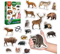 Forest Animal Magnets for Kids - Magdum - 20 Large Fridge Magnets - Realistic Woodland Animals Learning Toy for Toddlers - Educational Preschool Set - Strong Durable Safe Magnets - Kids Gift