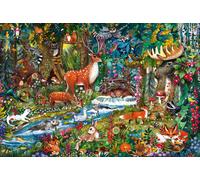 Forest Animals