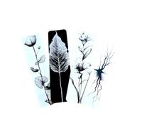 Forest Animals Bookmark Set - Gothic Cute Fantasy, Woodland Designs Premium Art Bookmarks for Readers, Journals & Gifts Spooky Cozy Academia Stationery (4pc Black & White Set 8)