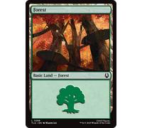 Forest | Avatar: The Last Airbender