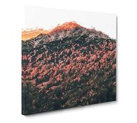 Forest Beneath the Mountain in Italy Canvas Print | Gallery Wrapped 30mm Frame Wall Art | 14x14 inches | Ready to Hang | Abstract Landscape Picture | Living Room Bedroom Lounge Office
