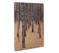 Forest By Gustav Klimt Canvas Print | Gallery Wrapped 30mm Frame Wall Art | 30x20 inches | Ready to Hang | Classic Landscape Picture | Living Room Bedroom Lounge Office