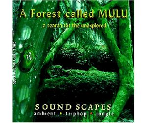 Forest Called Mulu - Search for the Unexplored