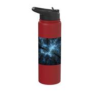 Forest Canopy Starry Night Sky Fireflies Painting Stainless Steel Insulated Water Bottle