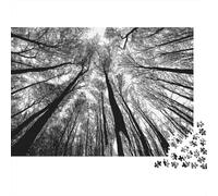 Forest Canopy View 1000 Pc Premium Cardstock Jigsaw Puzzle for Couple Partners, Concentration Puzzle, Indoor Leisure Time, Perfect Housewarming Gift 52x38cm/1000pcs