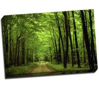 Forest Canvas Green Woodlands Print Framed Picture 20x30 Inches A1