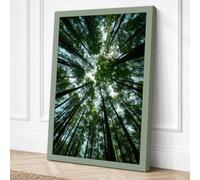 Forest Cathedral Scandinavian Canvas Wall Art Print 18x12 Inch
