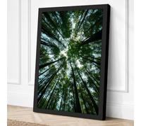 Forest Cathedral Scandinavian Canvas Wall Art Print 18x12 Inch