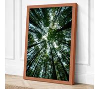 Forest Cathedral Scandinavian Canvas Wall Art Print 18x12 Inch (46 x 30 cm)