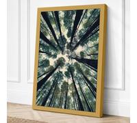 Forest Cathedral Scandinavian Canvas Wall Art Print 24x16 Inch (61 x 41 cm)