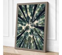 Forest Cathedral Scandinavian Canvas Wall Art Print 24x16 Inch (61 x 41 cm)