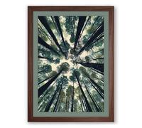 Forest Cathedral Scandinavian Framed Wall Art Print A1 (84.1×59.4cm) Walnut, Wall Decor for Living Room, Bedroom, Office & Home, Ready to Hang, Art Gift