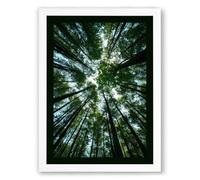 Forest Cathedral Scandinavian Framed Wall Art Print A1 (84.1×59.4cm) White, Wall Decor for Living Room, Bedroom, Office & Home, Ready to Hang, Art Gift