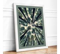Forest Cathedral Scandinavian Framed Wall Art Print A1 (84.1×59.4cm) White, Wall Decor for Living Room, Bedroom, Office & Home, Ready to Hang, Art Gift