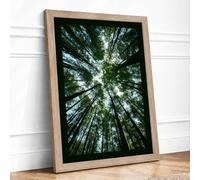 Forest Cathedral Scandinavian Framed Wall Art Print A2 (59.4×42cm) Oak, Wall Decor for Living Room, Bedroom, Office & Home, Ready to Hang, Art Gift