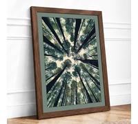 Forest Cathedral Scandinavian Framed Wall Art Print A2 (59.4×42cm) Walnut, Wall Decor for Living Room, Bedroom, Office & Home, Ready to Hang, Art Gift