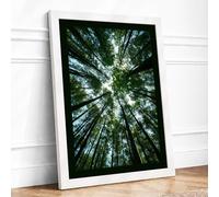 Forest Cathedral Scandinavian Framed Wall Art Print A2 (59.4×42cm) White, Wall Decor for Living Room, Bedroom, Office & Home, Ready to Hang, Art Gift