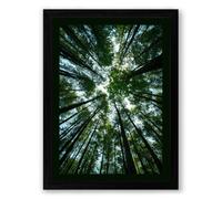 Forest Cathedral Scandinavian Framed Wall Art Print A3 (42×29.7cm) Black, Wall Decor for Living Room, Bedroom, Office & Home, Ready to Hang, Art Gift