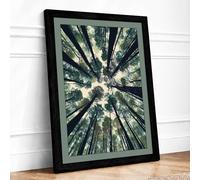 Forest Cathedral Scandinavian Framed Wall Art Print A4 (29.7×21cm) Black, Wall Decor for Living Room, Bedroom, Office & Home, Ready to Hang, Art Gift