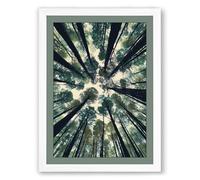 Forest Cathedral Scandinavian Framed Wall Art Print A4 (29.7×21cm) White, Wall Decor for Living Room, Bedroom, Office & Home, Ready to Hang, Art Gift
