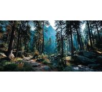 Forest Diamond Art, 5D Diamond Painting Landscape, DIY Full Drill Gem Art Kits Adults Beginner Mosaic Making Kits, Cross Stitch Crystal Paintings Craft for Room Decor, Gifts 60x30cm - KF0121T